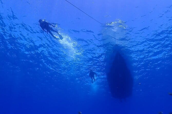 Boat Fundive 2Dives Minna, Sesoko , Motobu Okinawa - Why This Tour Stands Out