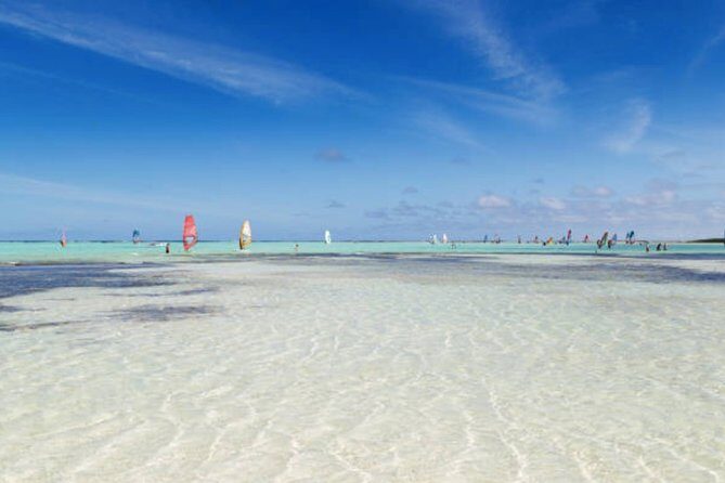 Bonaire Shore Excursion: The Bonaire Highlights Tour - Final Thoughts