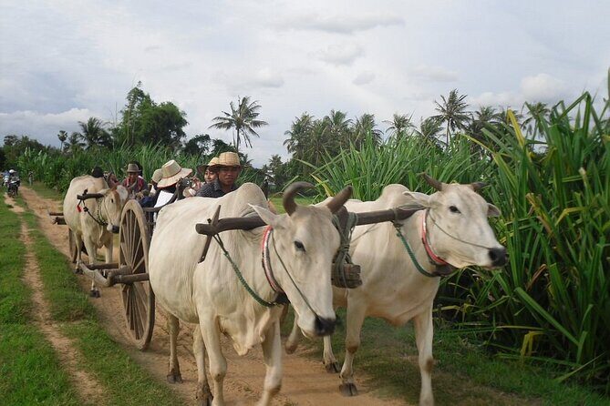 Cambodian Cooking Class and Oxcart Ride with Local Village Tour - What Sets This Tour Apart