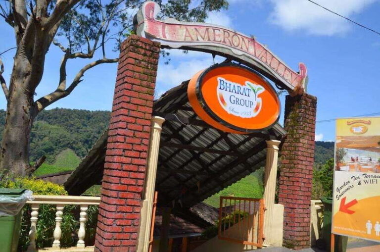 Cameron Highlands Private Day Trip - What Makes This Tour Stand Out