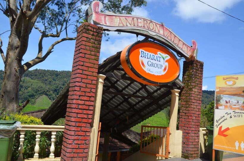 Cameron Highlands Private Day Trip - What Makes This Tour Stand Out
