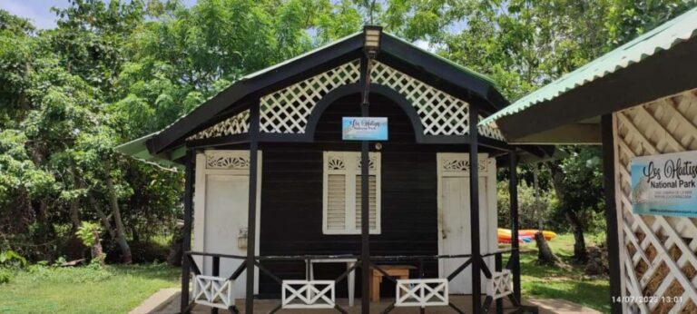 Cano Hondo Natural Pools & Los Haitises boat tour - What to Expect on the Day