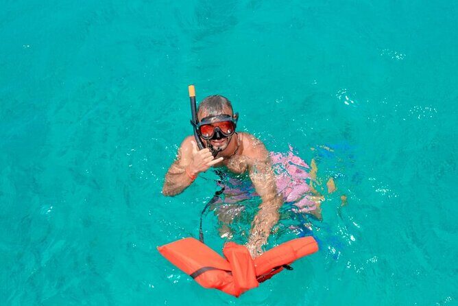 Catalina Island and Snorkeling - Full-day Trip - What Do the Reviews Say?