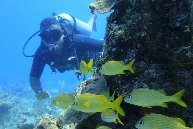 Catalina Island Scuba Diving and Snorkeling Tour from Punta Cana - Group Size and Practicalities