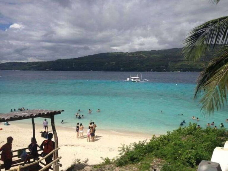Cebu: Boat Day Trip with Whale Shark Swimming and Lunch - An Overview of the Experience