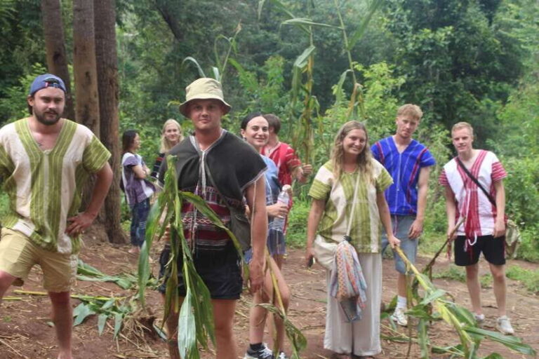 CHIANG MAI ELEPHANT VILLAGE SANCTUARY JUNGLE ADVENTURE - What Are the Key Points?