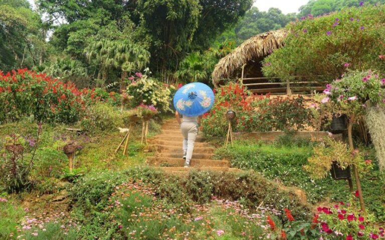 Chiang Mai: Half day Doi Suthep and Meo Village - Transportation and Group Size