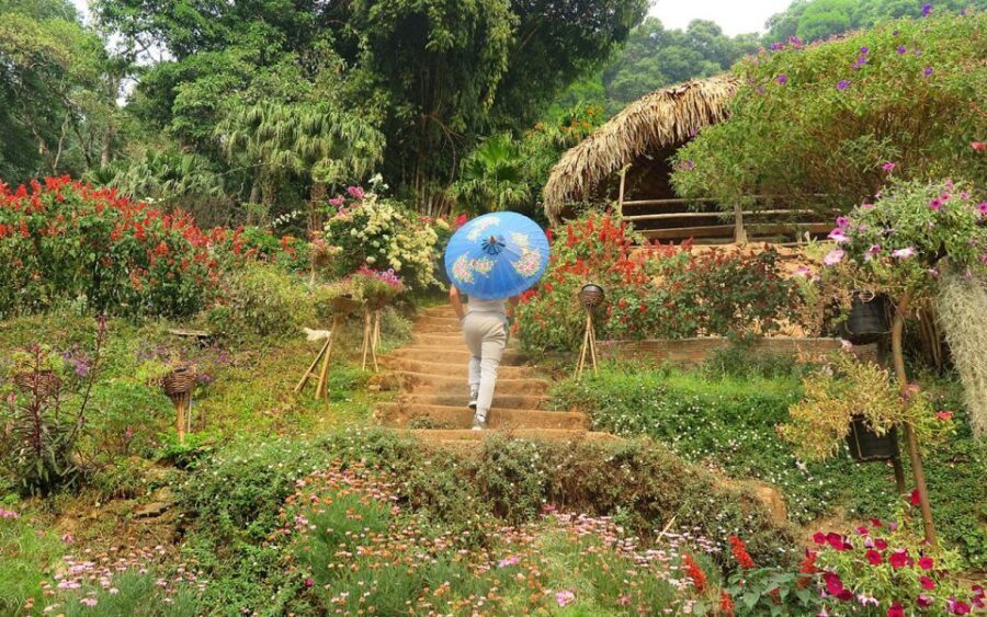 Chiang Mai: Half day Doi Suthep and Meo Village - Transportation and Group Size