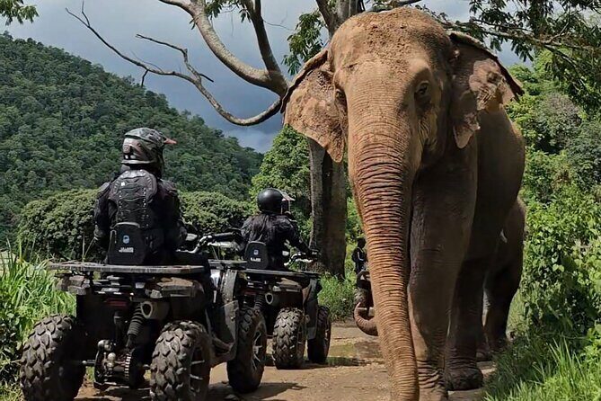 Chiang Mai Sticky Waterfall Tour ATV and Scenic Café - Final Thoughts