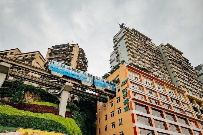 Chongqing 10 Hour Private Customized City Tour - Who Will Love This Tour?