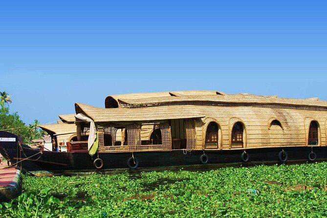 Cochin Shore Excursion: Backwater Houseboat Tour and Chinese Nets - A Deep Dive into the Experience