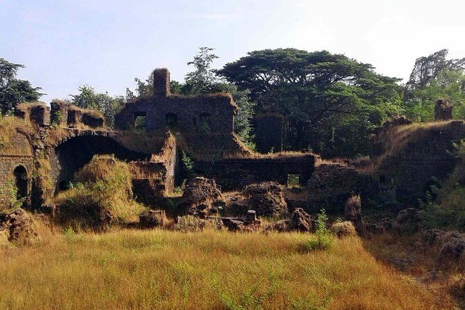 Complete North Goa Private Guide tour - What Makes This Tour Stand Out?