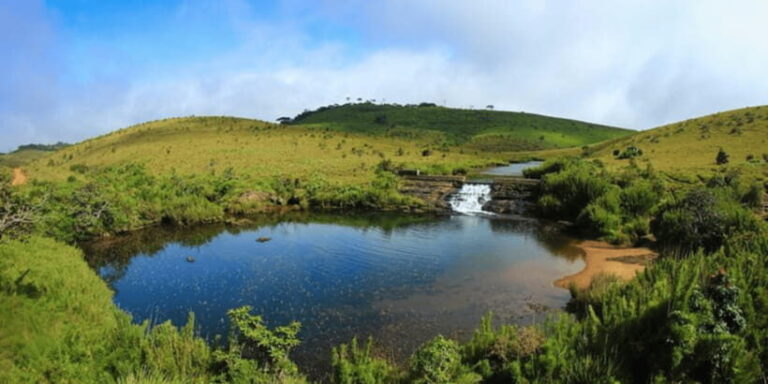 Comprehensive Excursion: Horton Plains and Pedro Tea Factory - Exploring the Itinerary: What You Can Expect