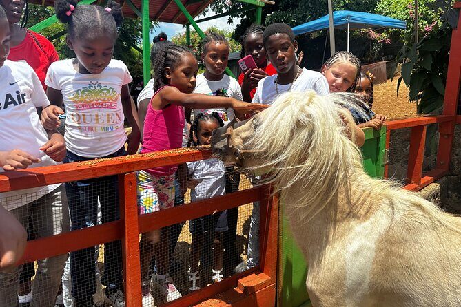 Connors Farms Petting Zoo - Is This Tour Worth It?