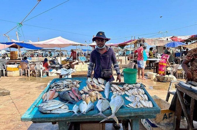 Cooking Class and Market Visit in Negombo - What Reviewers Say