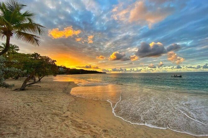 Cruise Ship Round Transfer to Grand Anse Beach in Grenada - What Do the Reviews Say?
