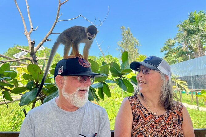 Damajagua Waterfalls and Monkey Private Van Tour - What to Expect on the Tour