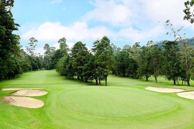 Day Trip to Nuwara eliya from Kandy - Who Will Love This Tour?