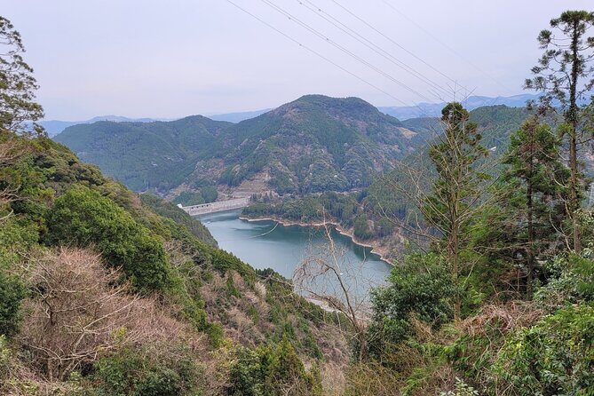 Deluxe Private Tour: Hita, AOT Statues and Onsen from Fukuoka - Exploring Hita and Its Connection to Attack on Titan