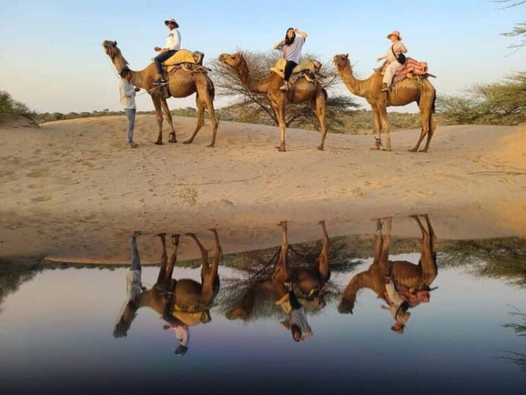 Desert Camel Safari Day Tour In Jodhpur - Value and Practicality