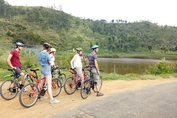 Discover Ella by Cycling - The Balance of Experience and Practicality