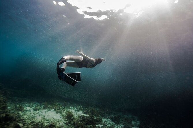 Discover Freediving One Amazing Day - The Itinerary in Detail