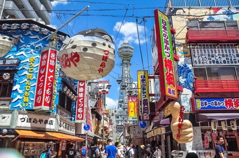 Discover Osaka, Private Customizable Tour with Expert Guides - Who Should Consider This Tour?