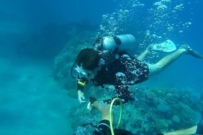 Discover Scuba Diving From Ocho Rios - What Makes This Tour Stand Out?