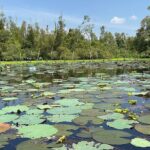 Discover Tan Lap Floating Village: A Tranquil Mekong Delta Escape - Practical Details and Tips