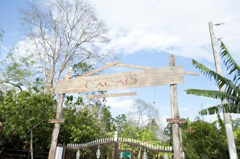 Dominican Republic: 3-Hour Chocolate Lovers Tour - The Practical Side: What to Expect