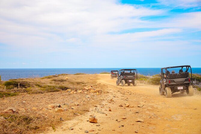 Exclusive Aruba UTV Rentals - The Sum Up: Who’s This UTV Rental Best For?