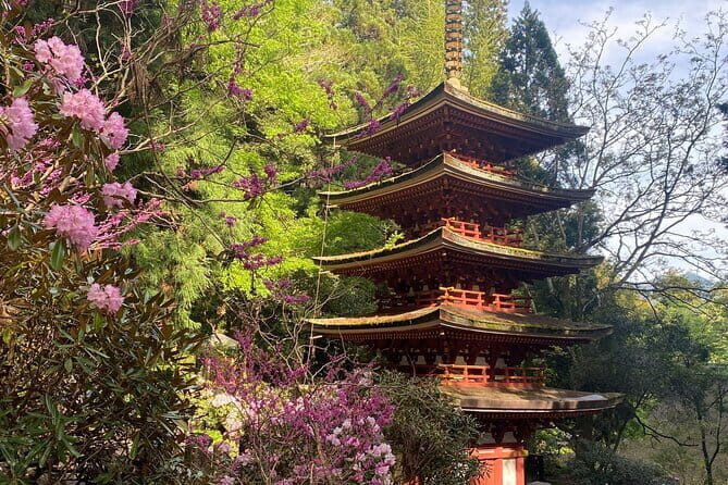 Exclusive Luxury Day Tours Serene Nara - FAQs