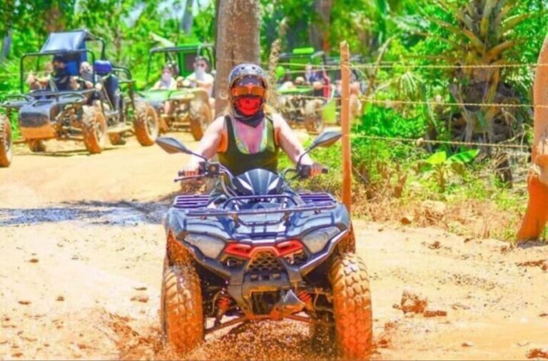 Exhilarating Buggy Tours: Discover Punta Cana Scenic Wonders - What Makes This Tour Stand Out