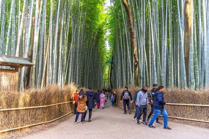 Explore Arashiyama Bamboo Forest with Authentic Zen Experience - What Makes This Tour Stand Out
