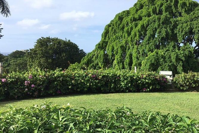 Explore Montego Bay Jamaica Rose Hall Great House Day/Night Tour - Value and Practical Tips