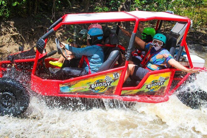 Extreme Buggy Adventure in the Puerto Plata Fields - What Makes This Tour Stand Out?