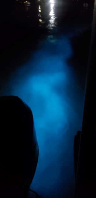 Falmouth: Luminous Lagoon Night Experience - Who Will Love This Tour?