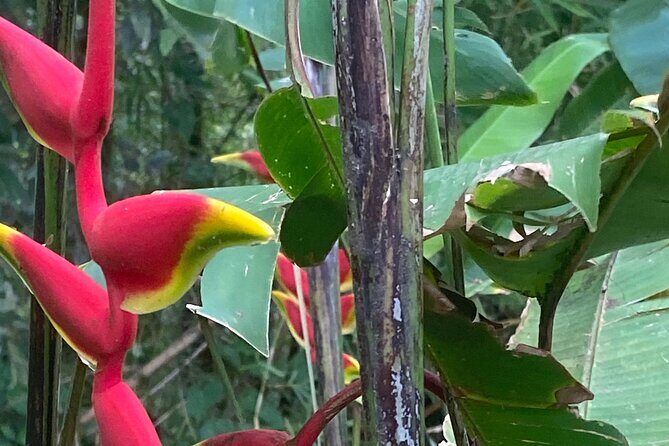 Flavors of Grenada - Final Thoughts: Who Will Love This Tour?