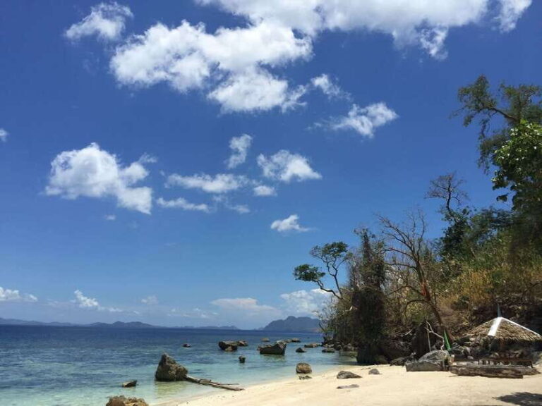 From Coron: Island Hopping Boat Day Trip with Buffet Lunch - Who Will Appreciate This Tour?