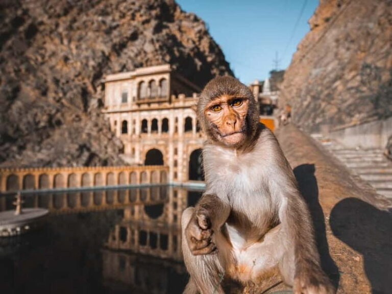 From Delhi: 2-Day Agra & Jaipur Golden Triangle Experience - Day 1: Agra and the Taj Mahal