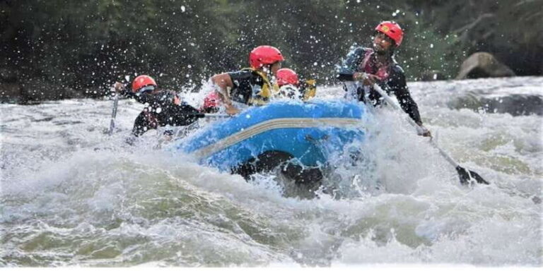 From Kandy: Kithulgala White Water Rafting Adventure - What to Expect