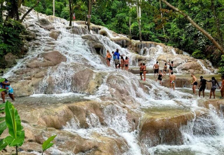 From Ocho Rios / Runaway Bay: Day Trip to Dunn's River Falls - Practical Details and Value