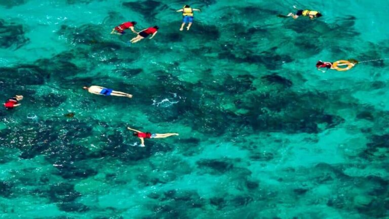 From Punta Cana: Exclusive Catalina Island Tour with Transportation and Lunch - Practical Details and Tips