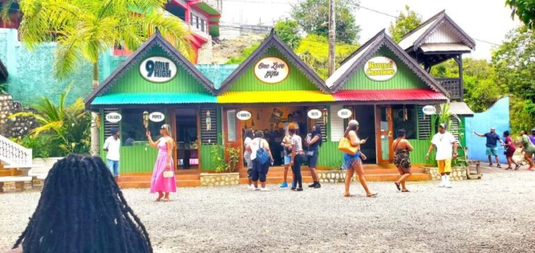 From Runaway Bay: Bob Marley Mausoleum Guided Day Trip - Final Thoughts: Who Will Love This Tour?