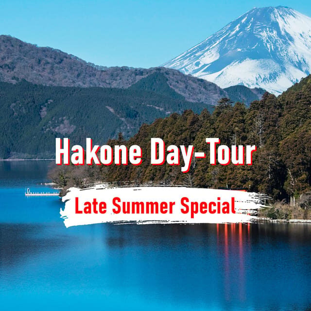 From Tokyo: 10-hour Hakone Private Custom Tour - The Practicalities of a Private Hakone Day Trip