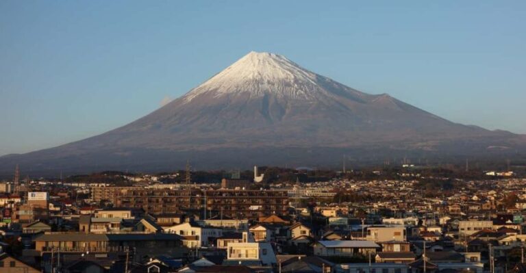 From Tokyo: Mount Fuji or Hakone+Gotemba Outlet Day Tour 10H - The Practicalities: Transportation, Cost, and Flexibility
