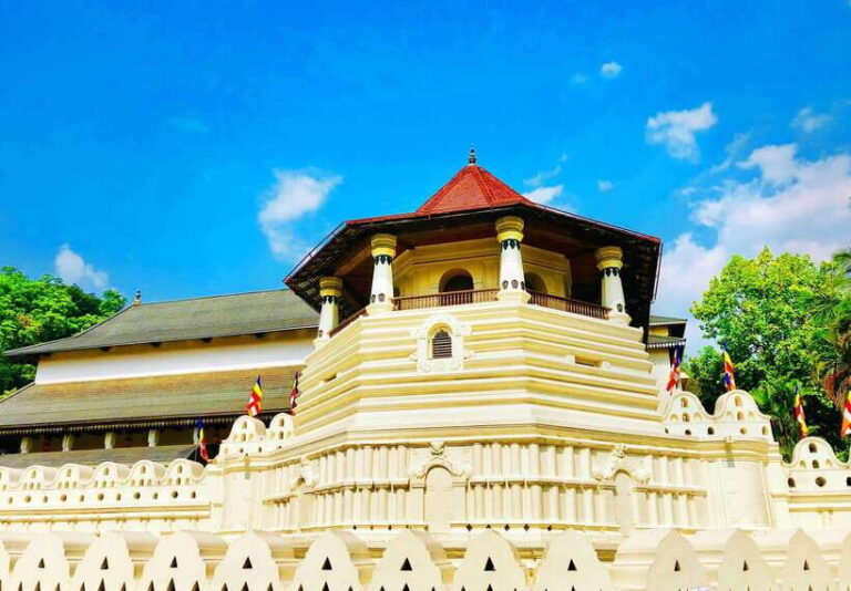Full Coverage Kandy City Day Tour - What Makes This Tour Stand Out?