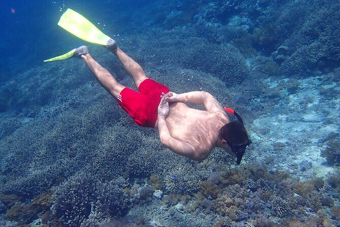 Full-Day Island-Hopping Tour from Bali - What the Reviews Say: Authentic Perspectives