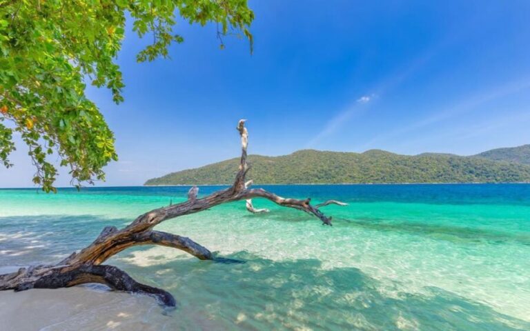 Full-Day Koh Lipe 5 points Snorkeling Experience with Lunch - Who Should Consider This Tour?