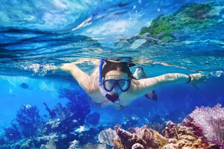 Full-Day Snorkeling Tour to Catalina Island - The Practicalities: Transport, Duration, and Cost